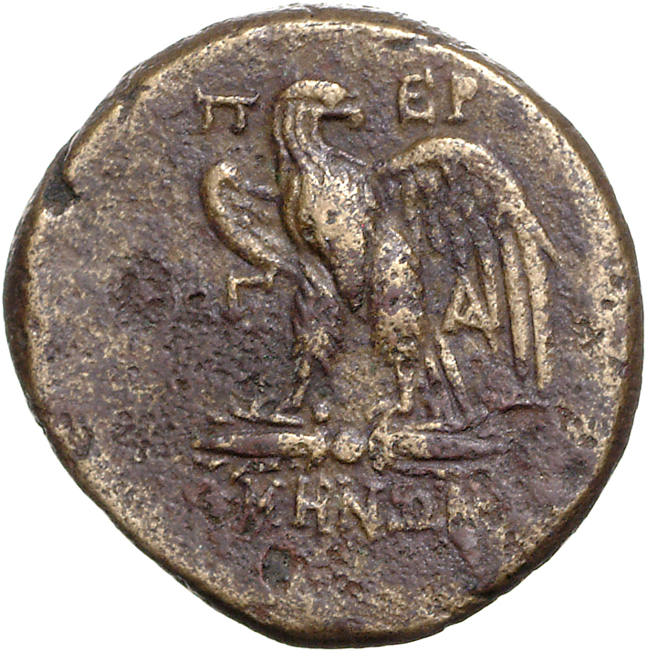 CN Type 11966, реверс, cn-coins