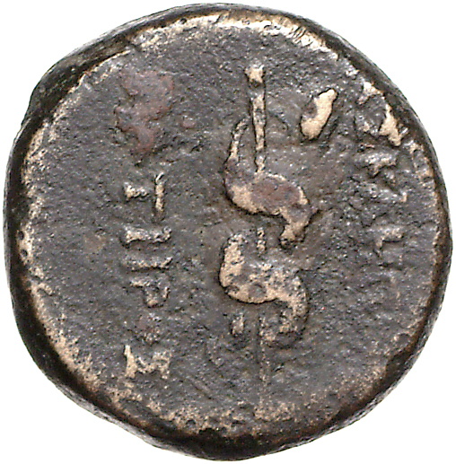 CN Type 11125, реверс, cn-coins