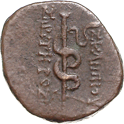 coin rev