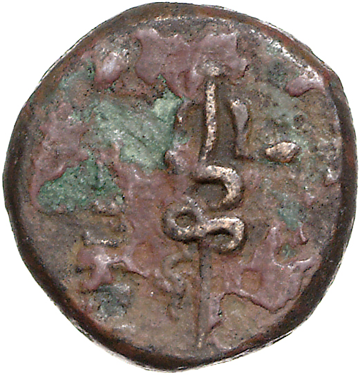 CN Type 11127, реверс, cn-coins