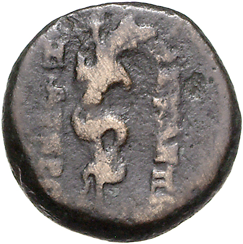 CN Type 11127, реверс, cn-coins