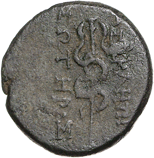 CN Type 11128, реверс, cn-coins