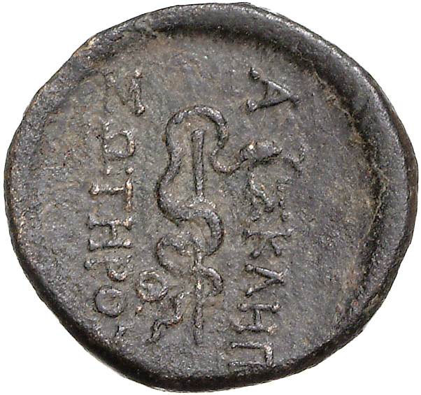 coin rev