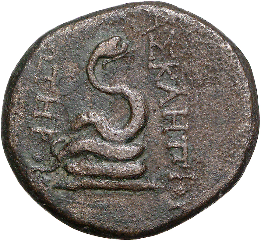 CN Type 11758, реверс, cn-coins