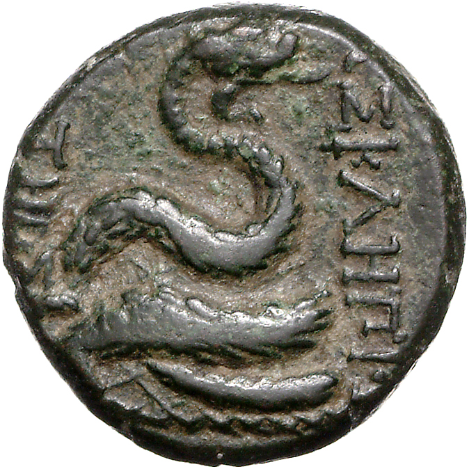 CN Type 11758, реверс, cn-coins