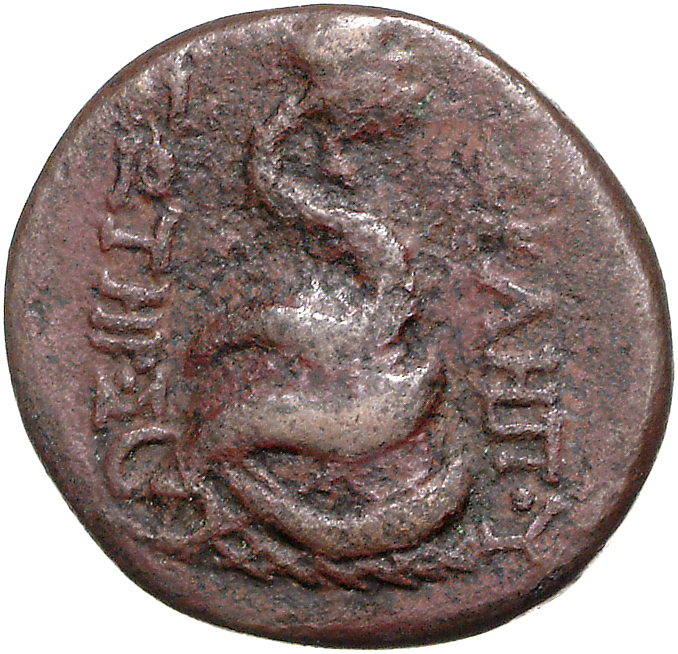 CN Type 11758, реверс, cn-coins