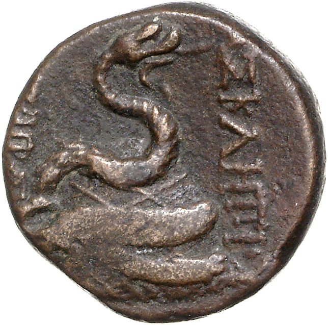 CN Type 11758, реверс, cn-coins