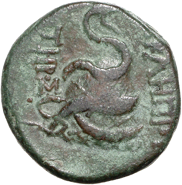 CN Type 11758, реверс, cn-coins