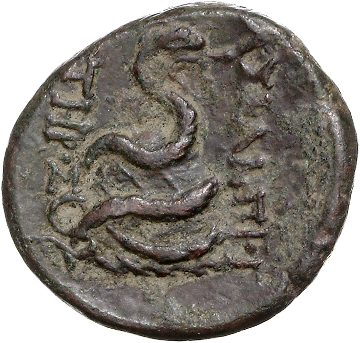 CN Type 11758, реверс, cn-coins