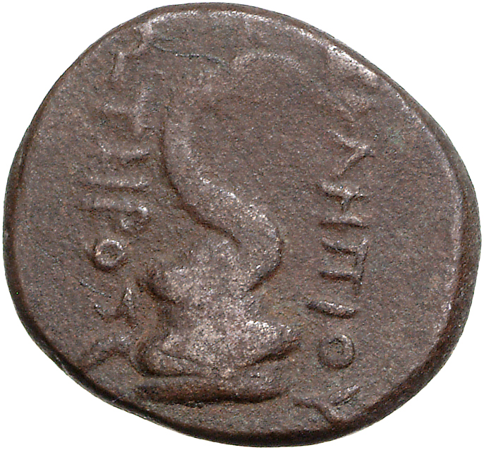 CN Type 11758, реверс, cn-coins