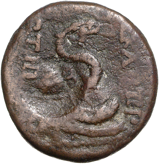 CN Type 11758, реверс, cn-coins