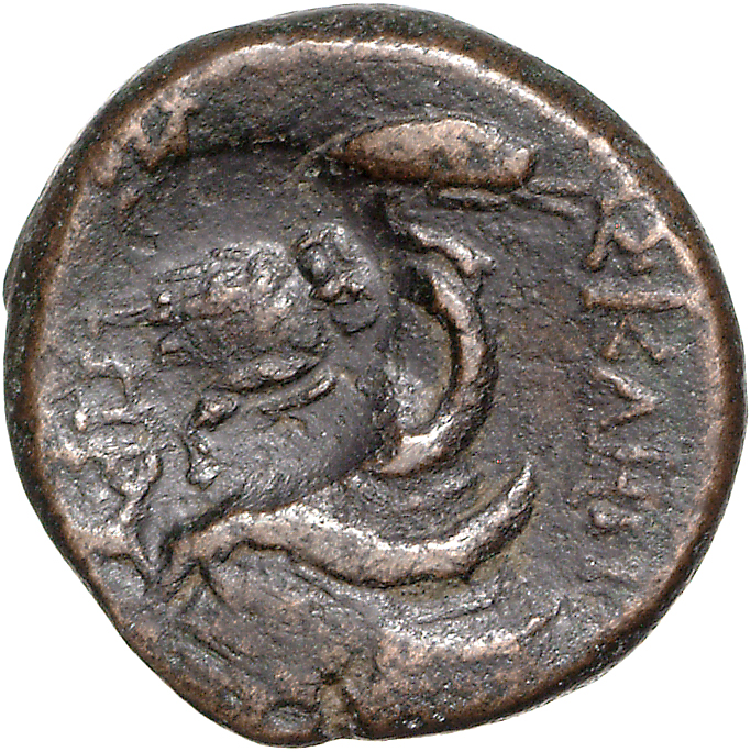 CN Type 11758, реверс, cn-coins