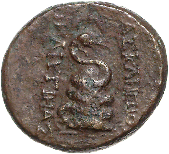 CN Type 11832, реверс, cn-coins