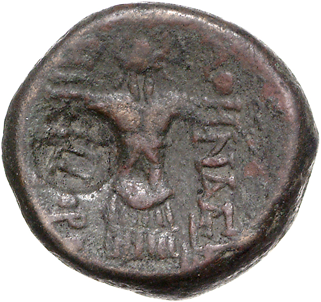 CN Type 21406, реверс, cn-coins