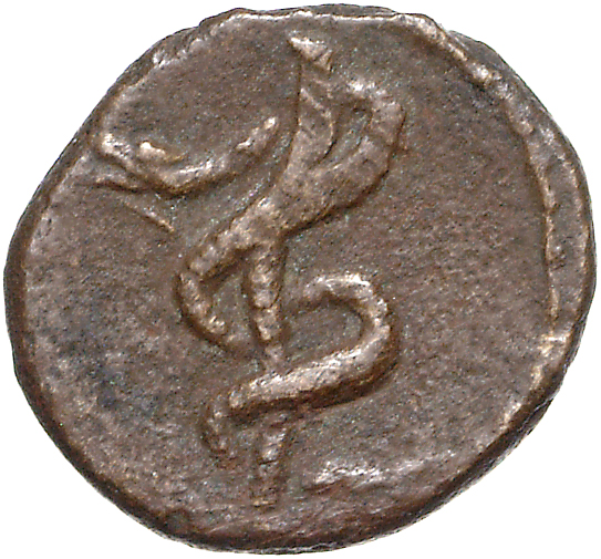coin rev