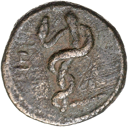 coin rev