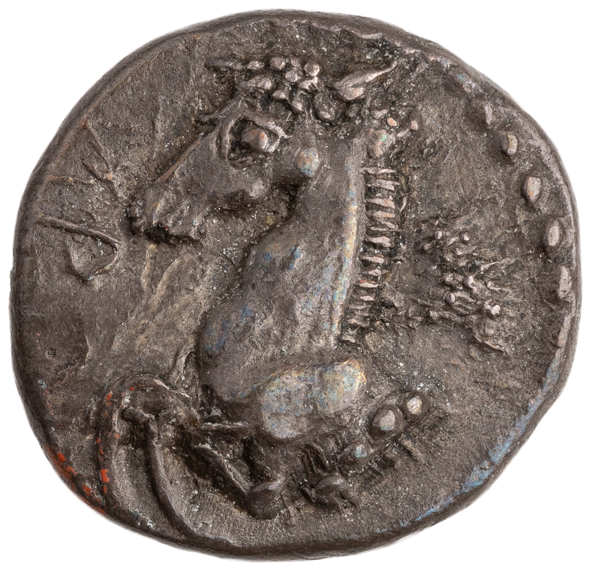 coin obv