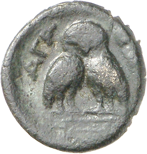 reverse CN Type cn.agathopolis.1_ed.7