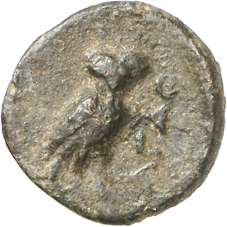 reverse CN Type cn.agathopolis.1_ed.6
