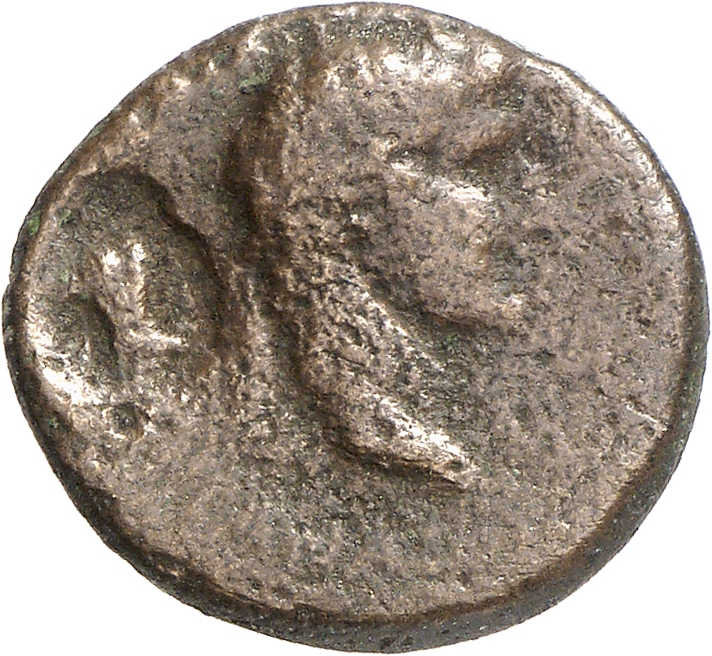 CN Type 11648, аверс, cn-coins