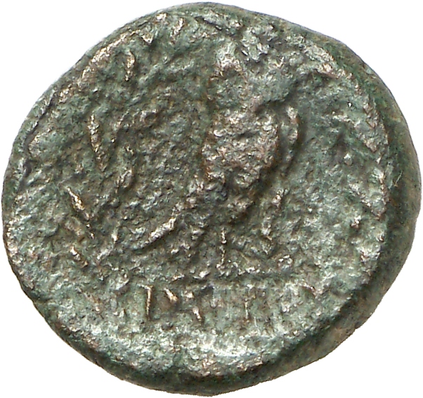 reverse CN Type cn.imbros.1_ed.1