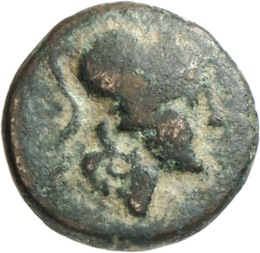 CN Type cn.madytus.1_ed.18, аверс, cn-coins