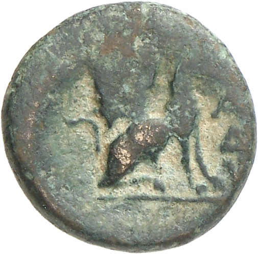 CN Type cn.madytus.1_ed.18, реверс, cn-coins