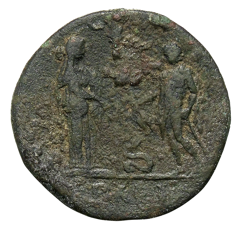 CN Type 17466, реверс, cn-coins