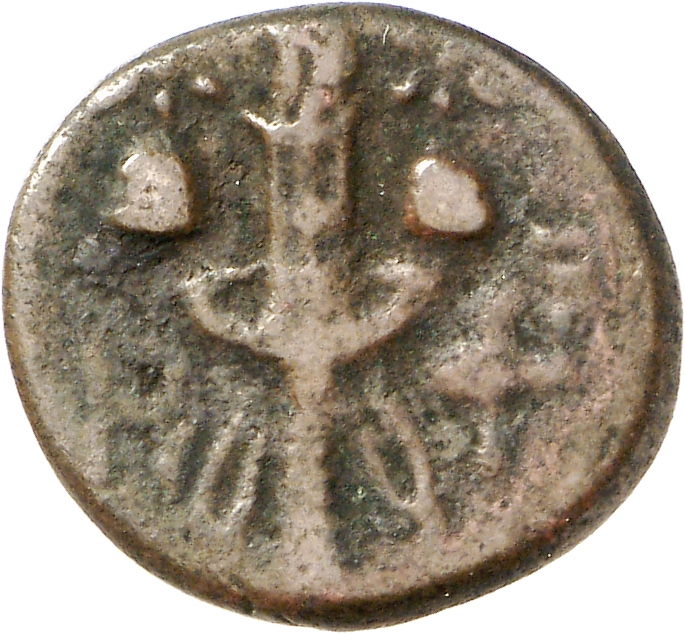 coin rev