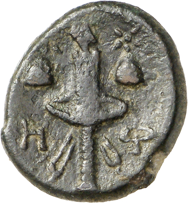 реверс CN Type cn.hephaestia.1_ed.29