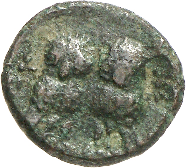 reverse CN Type cn.hephaestia.1_ed.23