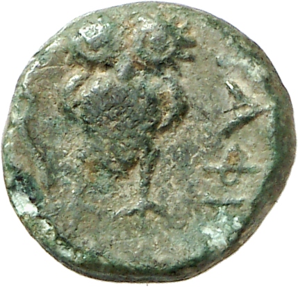 reverse CN Type cn.hephaestia.1_ed.10
