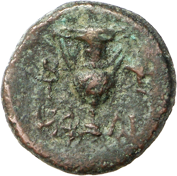 coin rev