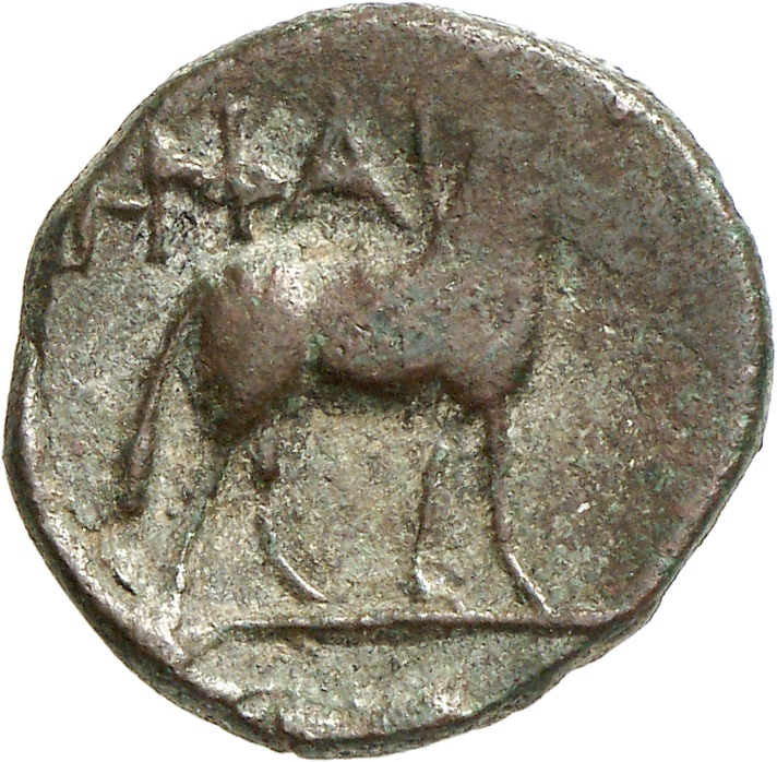 реверс CN Type cn.hephaestia.1_ed.37