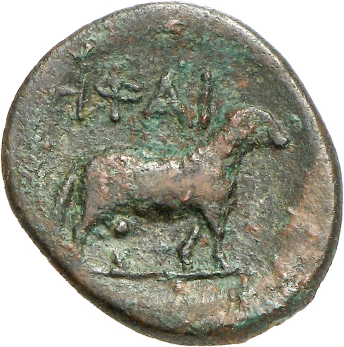 CN Type cn.hephaestia.1_ed.37, реверс, cn-coins
