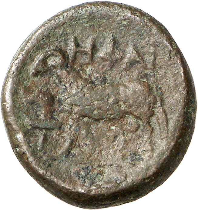 реверс CN Type cn.hephaestia.1_ed.36