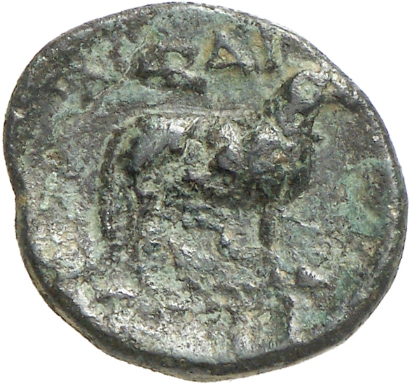 reverse CN Type cn.hephaestia.1_ed.15