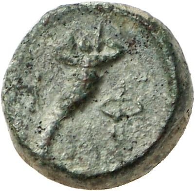 реверс CN Type cn.hephaestia.1_ed.22