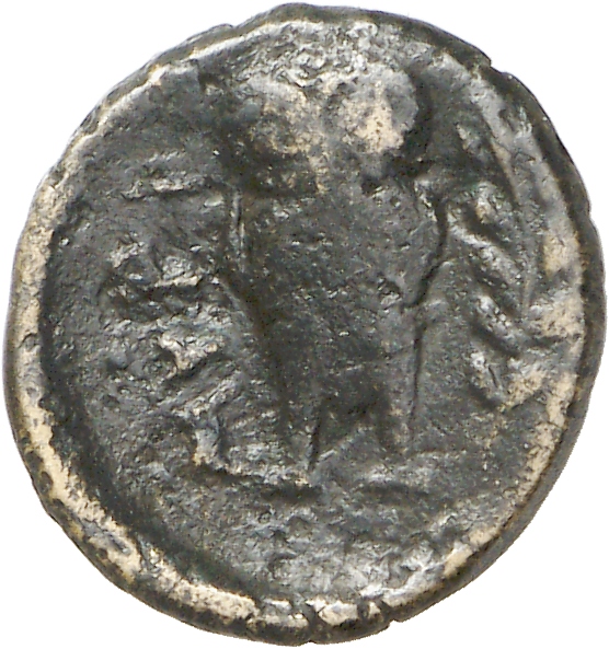 CN Type cn.myrina_lemni.1_ed.4, реверс, cn-coins