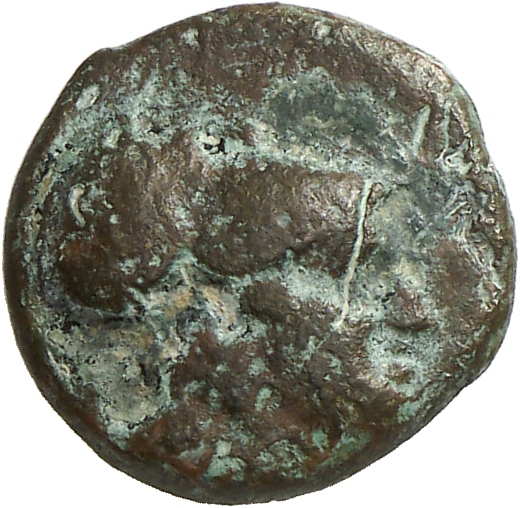 CN Type cn.myrina_lemni.1_ed.4, аверс, cn-coins