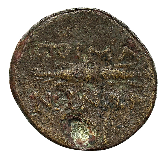 CN Type 12787, реверс, cn-coins