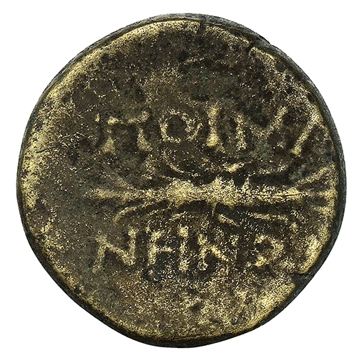 reverse CN Type 12787