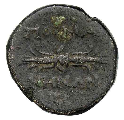 CN Type 12787, реверс, cn-coins