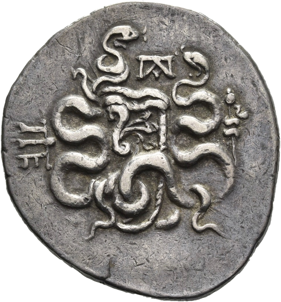 CN Type 11339, реверс, cn-coins