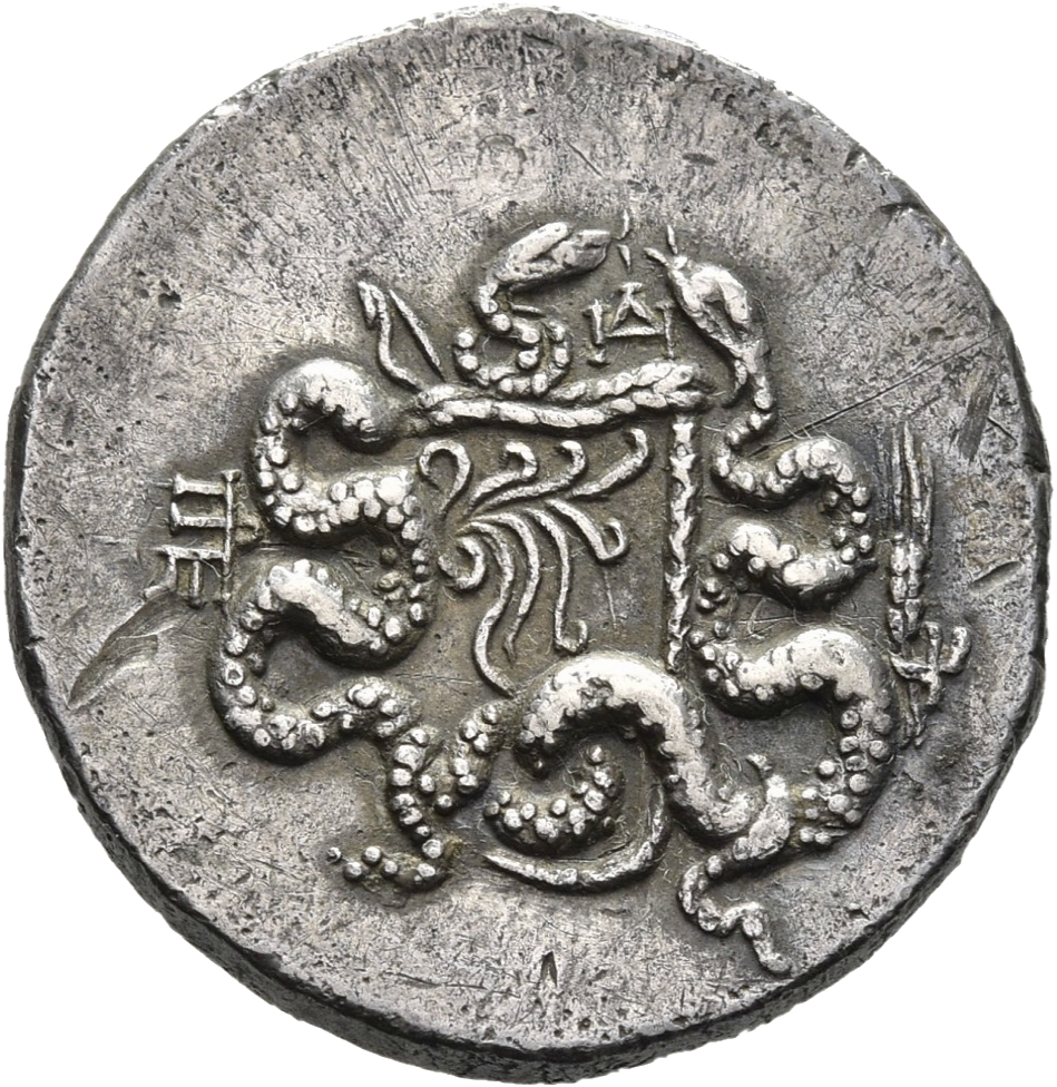 coin rev