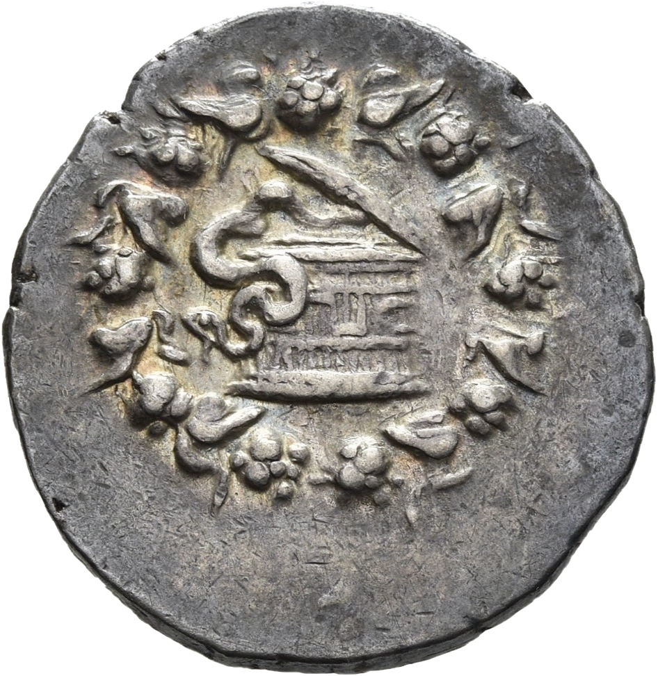 coin obv