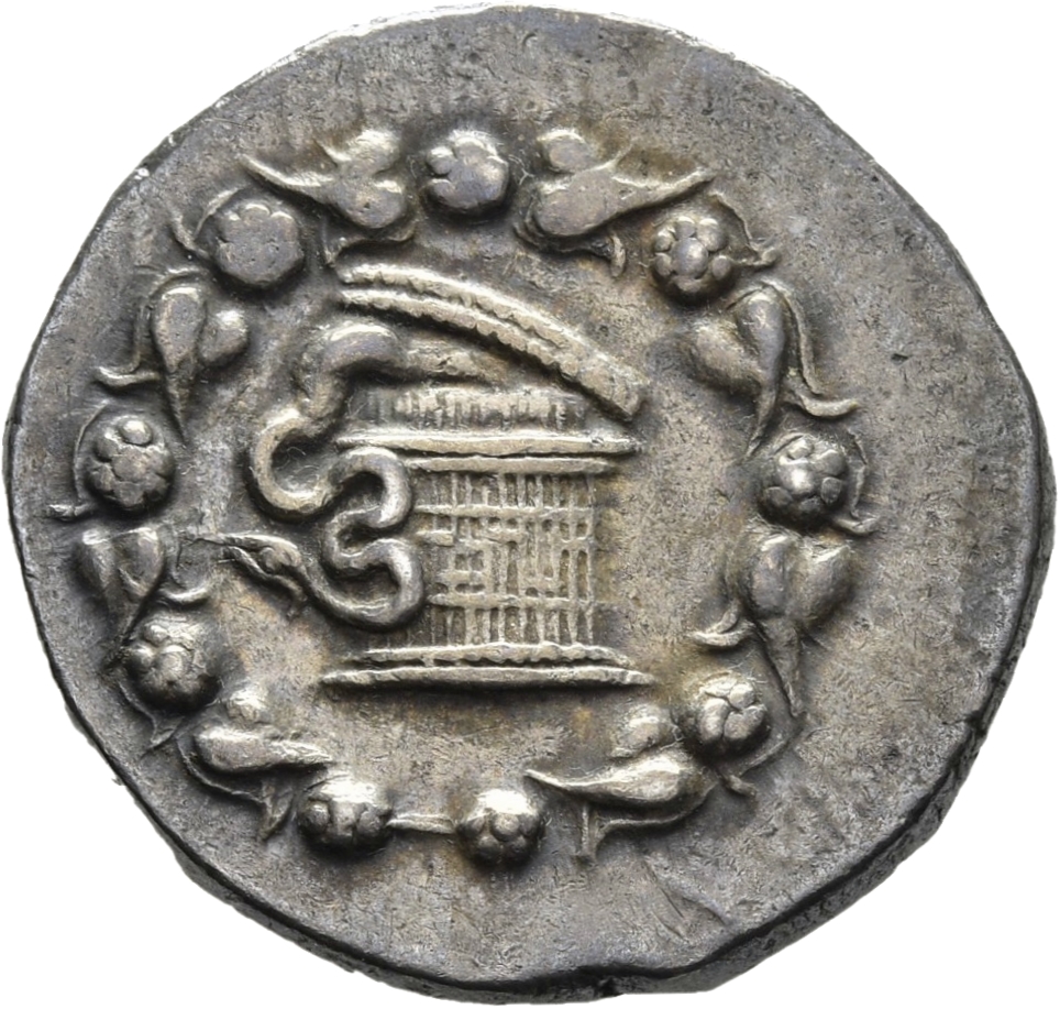 CN Type 11344, аверс, cn-coins