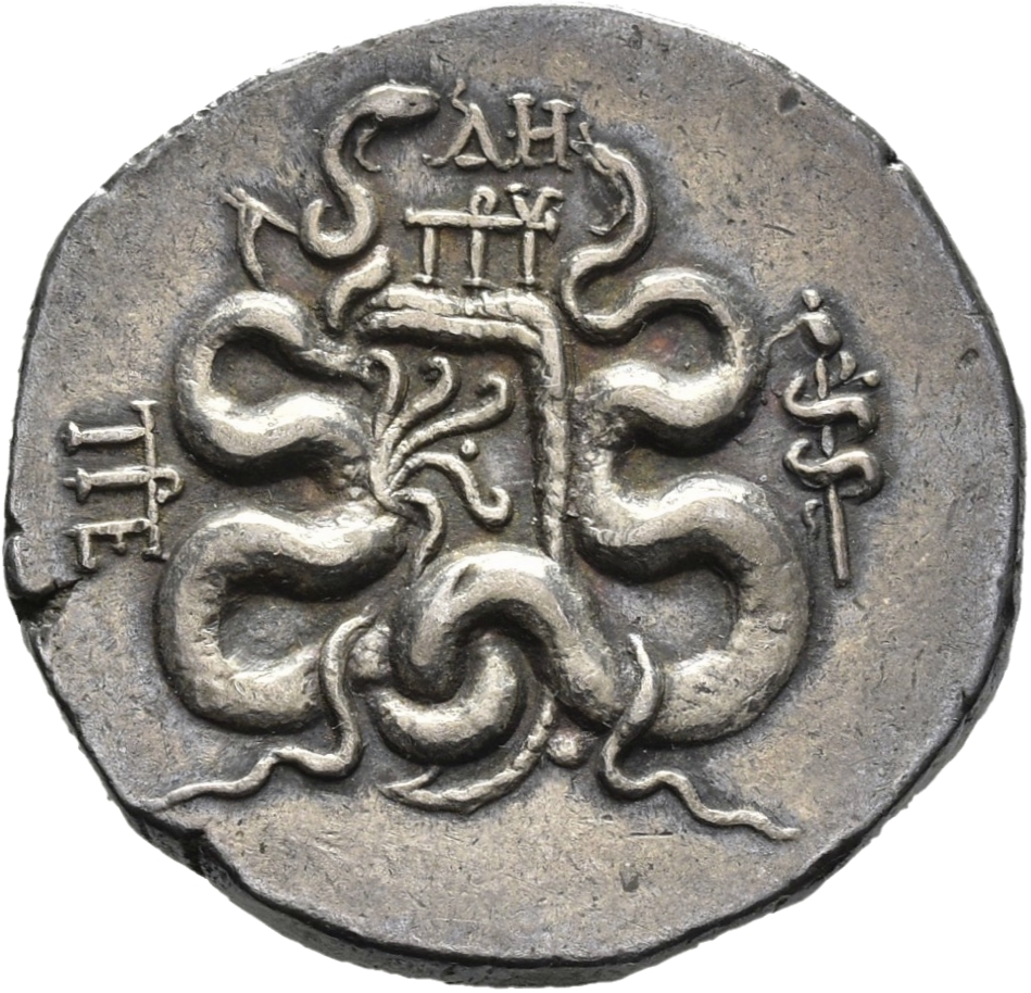 CN Type 11344, реверс, cn-coins