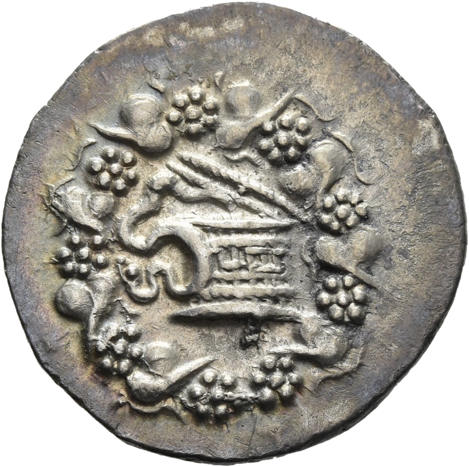 CN Type 11411, аверс, cn-coins
