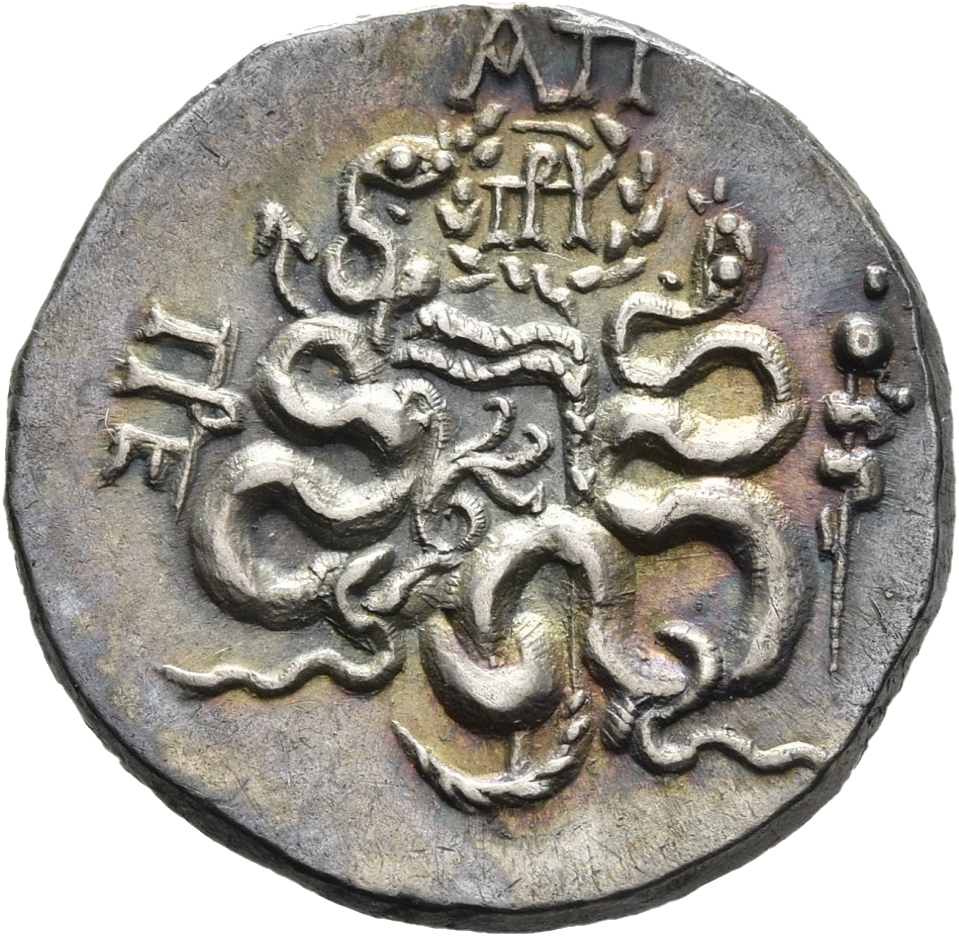 CN Type 11411, реверс, cn-coins